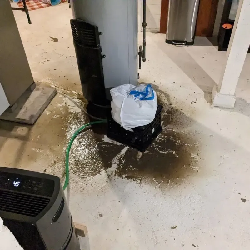 Sewage Backup Cleanup Service in Missouri Valley, IA